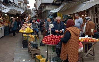  روز به روز قیمت دلار بالا می رود؛اما دولت آمار مثبت می دهد، احساس می کنم دولت درباره کشوری به جز ایران صحبت می کند