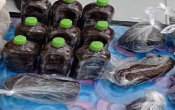 غافلگیری قاچاقچیان با ۸ کیلو تریاک در رودبار