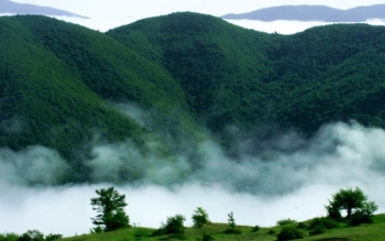 تایید ثبت «روز ملی جنگل و کوهستان» در تقویم رسمی ایران