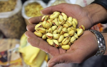 ایران رتبه اول صادرات پسته را هم از دست داد