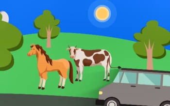 احشام؛ تهدیدی برای جاده‌ها