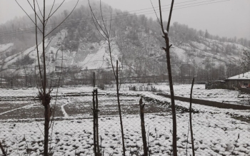 ویدئو/بارش برف؛روستای علیسرای سیاهمزگی شفت 