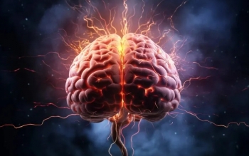 مغز وقتی که هیچ کاری نمی‌کنید، مشغول چه کاری است؟