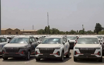 بیشترین ارز دولتی را خودروسازان چینی می‌گیرند