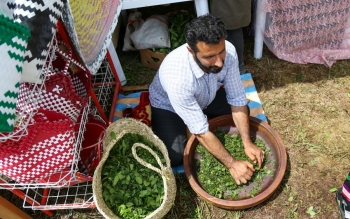 شما طرفدار چای ایرانی هستید یا چای خارجی ؟/چرا ایرانی ها به چای خارجی اعتقاد ندارند؟
