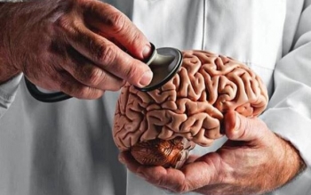 شناسایی مواد مغذی حیاتی برای سلامت مغز