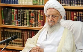 آیت الله مکارم شیرازی: کسب درآمد از همستر کامبت جایز نیست