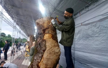 ۱۳پیشنهاد برای برندسازی جشنواره مجسمه های چوبی در رشت/تصاویر