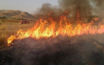 پرت کردن ته سیگار در کنار جاده ۴ هکتار از مراتع را سوزاند