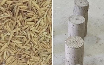 محققان ضایعات برنج را با کمک هوش مصنوعی به بتُن تبدیل کردند