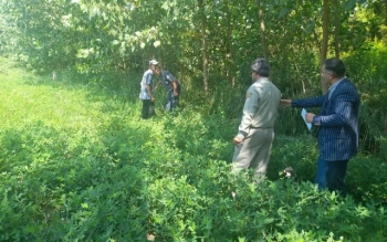 بیش از ۲۰۰۰ متر از اراضی پارک ملی بوجاق رفع تصرف شد