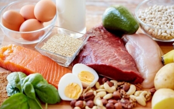 چرا پروتئین ماده ای ضروری برای بدن است؟