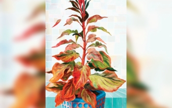 اینبار اختلاس هنری است؛ ۳۰ تابلوی فاخر موزه وابسته به شهرداری تهران پنهانی در دوبی به فروش رسید/ارزش یکی از این آثار ۳۰ میلیارد تومان بود