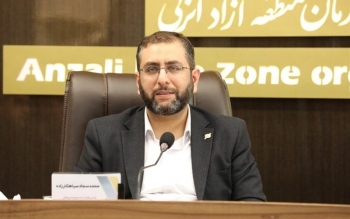 سرمایه‌گذاری ۲۸ میلیون دلاری در منطقه آزاد انزلی