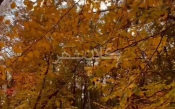 پارک جنگلی سراوان رشت در پاییز هم زیباست