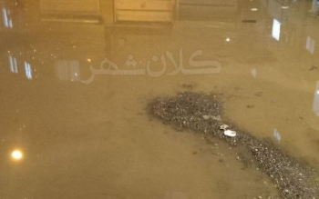 به وضعیت خطرناک فاضلاب بن بست معین در شهرک فرهنگیان رشت رسیدگی شود/عکس
