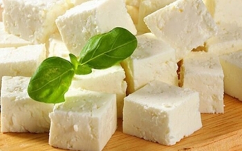 چگونه پنیر سالم و با کیفیت را تشخیص دهیم
