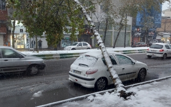 سقوط درخت روی خودرو پژو ۲۰۶ در خیابان مطهری در روز برفی رشت