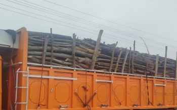 کشف و ضبط چوب آلات قاچاق در سراوان رشت