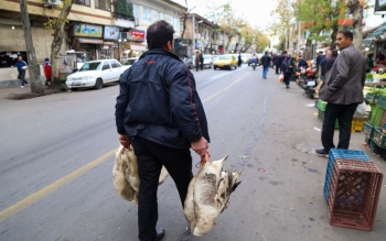 گیلان چاق ترین استان ایران؛روزی ۲۵نفر ایست قلبی می کنند و ۱۷نفر درگیر سرطان می شوند