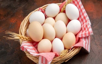 میزان پروتئین موجود در تخم مرغ چقدر است؟