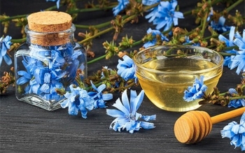 گیاهی فوق‌العاده برای پاکسازی کبد