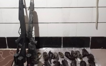 دستگیری ۴ شکارچی غیرمجاز در ماسال