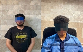 متهمان قتل دانشجوی دانشگاه تهران مرتکب ۴۰ فقره سرقت شده بودند
