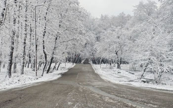 گزارش تصویری؛زیبایی های طبیعت برفی در گیسوم و پره سر رضوانشهر
