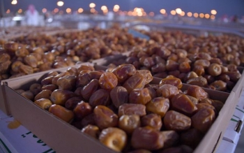  قیمت خرما در آستانه ماه رمضان افزایش یافت