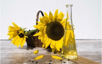 روغن دانه‌ها چه مشکلاتی برای سلامتی ایجاد می‌کنند؟