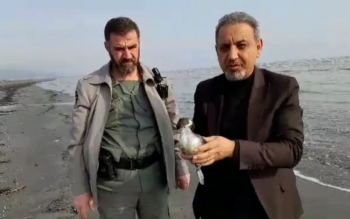 رهاسازی یک قطعه پرنده در خطر انقراض در ساحل دریای خزر در تالش