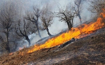هشدار آتش سوزی در عرصه های طبیعی و جنگلی گیلان