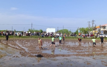 اولین جشنواره فرهنگی بازیهای بومی محلی روستای فتاتو خمام