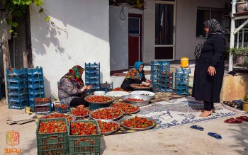  جزئیات پرداخت وام مشاغل خانگی + مبلغ وام
