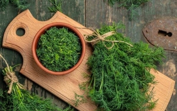 درمان طبیعی نفخ، بی‌خوابی و کلسترول