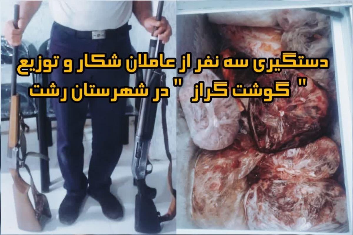 کشف ۲۱۵ کیلوگرم گوشت گراز در رشت 