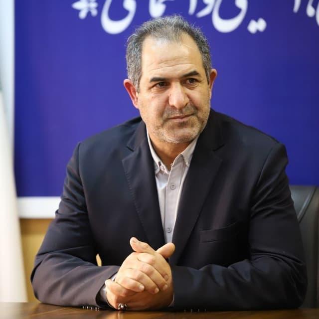 انهدام ریزپرنده های مهاجم در آسمان انزلی