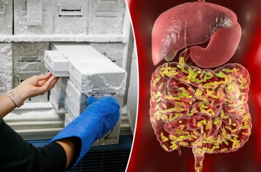 ذخیره ای برای ۱۰۰ سال آینده؛ محققان مدفوع انسان را برای حفظ میکروب ها منجمد می کنند
