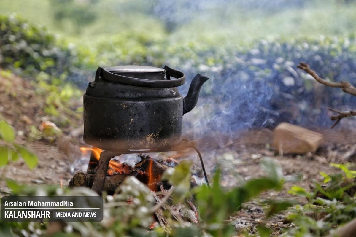 هشدار زرد هواشناسی؛ وزش باد گرم و افزایش ۸ درجه ای دما از پنجشنبه تا شنبه در گیلان