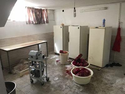 کشف کارگاه تولید همبرگر غیرمجاز با ۳۵۰ کیلوگرم محصول آلوده در رشت