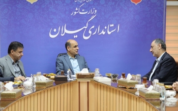 نقش کلیدی داده‌های دقیق در مدیریت بازار برنج و کنترل نوسانات قیمتی