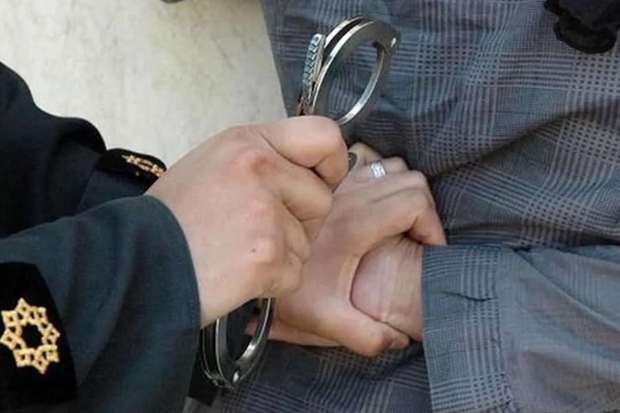 همسر سابق بازیگر سینما با پول کمک به حیوانات ماشین خرید