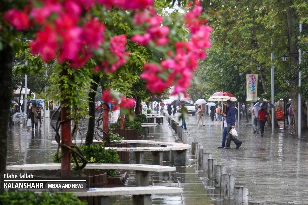 کاهش ۵ تا ۱۰ درجه ای دما در گیلان؛ توصیه هایی برای شالیکاران، پرهیز از تردد در حاشیه رودخانه ها و ارتفاعات 