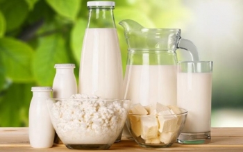 ردپای «لبنیات» در افزایش بار بیماری استخوان شکن
