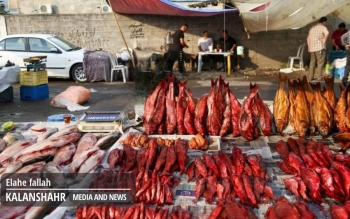 گیلان، پیشتاز آمار بوتولیسم؛ نقش اَشپَل، پنیر، فرآورده های دریایی و خانگی در مسمومیت مرگبار