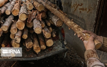 کشف ۱۸ تن چوب قاچاق در فومن