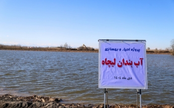 گزارش تصویری؛ با هدف مدیریت منابع آب: احیای هزار هکتار از آب‌بندان‌های گیلان آغاز شد