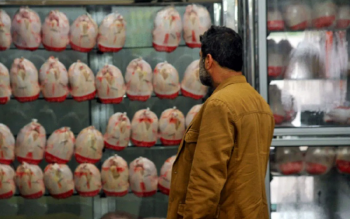 مصرف مرغ ۲۰ درصد کم شد