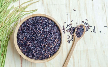 از چین باستان تا گیلان؛ کِشت رقم کمیاب برنج سیاه در تولم شهر صومعه سرا